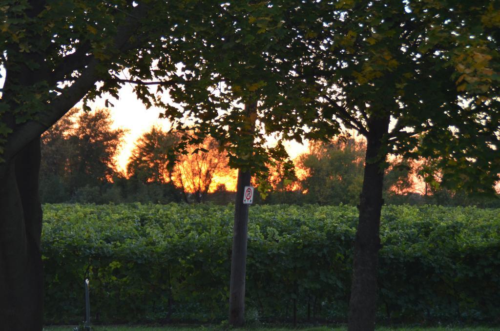 Bed and Breakfast Old Town Country Landing Niagara-on-the-Lake Esterno foto